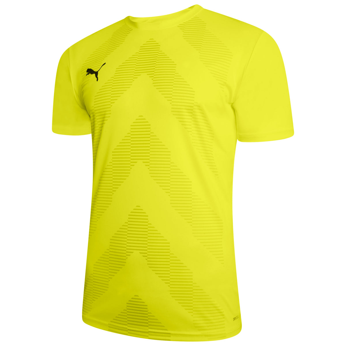 Puma TeamGLORY Short Sleeve Goalkeeper Shirt