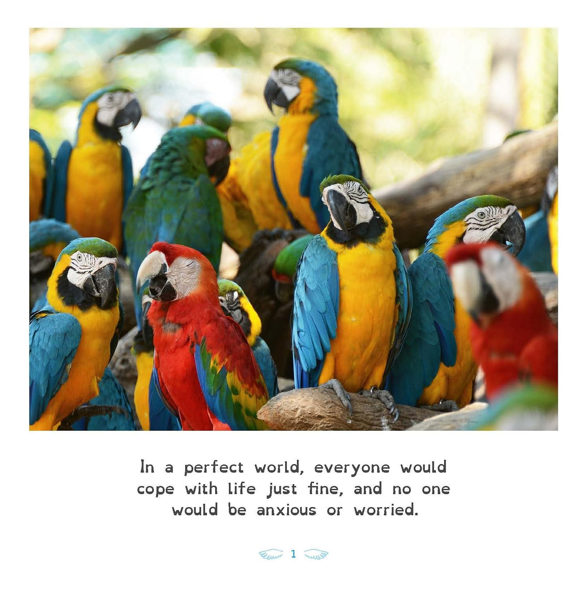 All Birds Have Anxiety