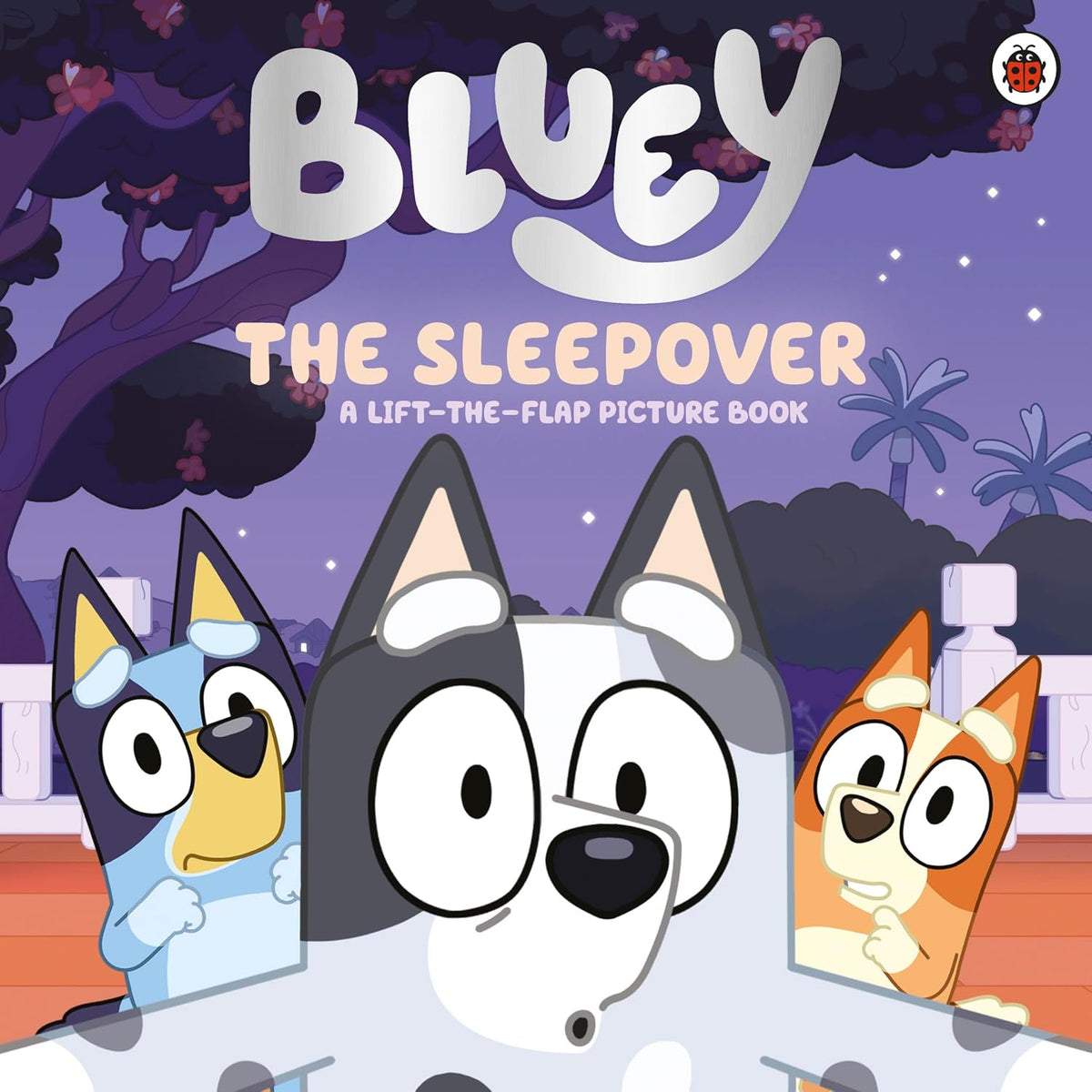 Bluey: The Sleepover (A Lift-the-Flap Picture Book)
