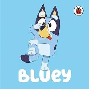 Bluey: Dad