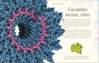 An Anthology of Micro Life