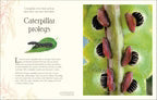 An Anthology of Micro Life