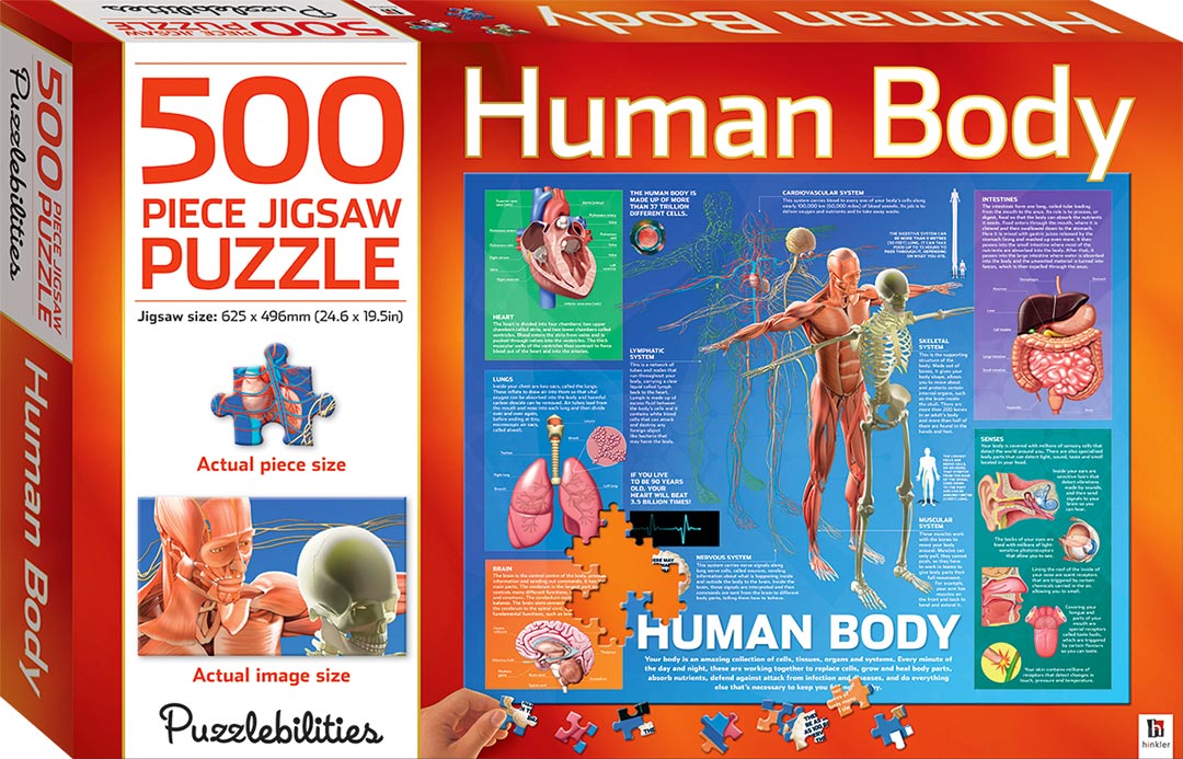 CZD0326_25 Human Body 500 Piece Jigsaw Puzzle