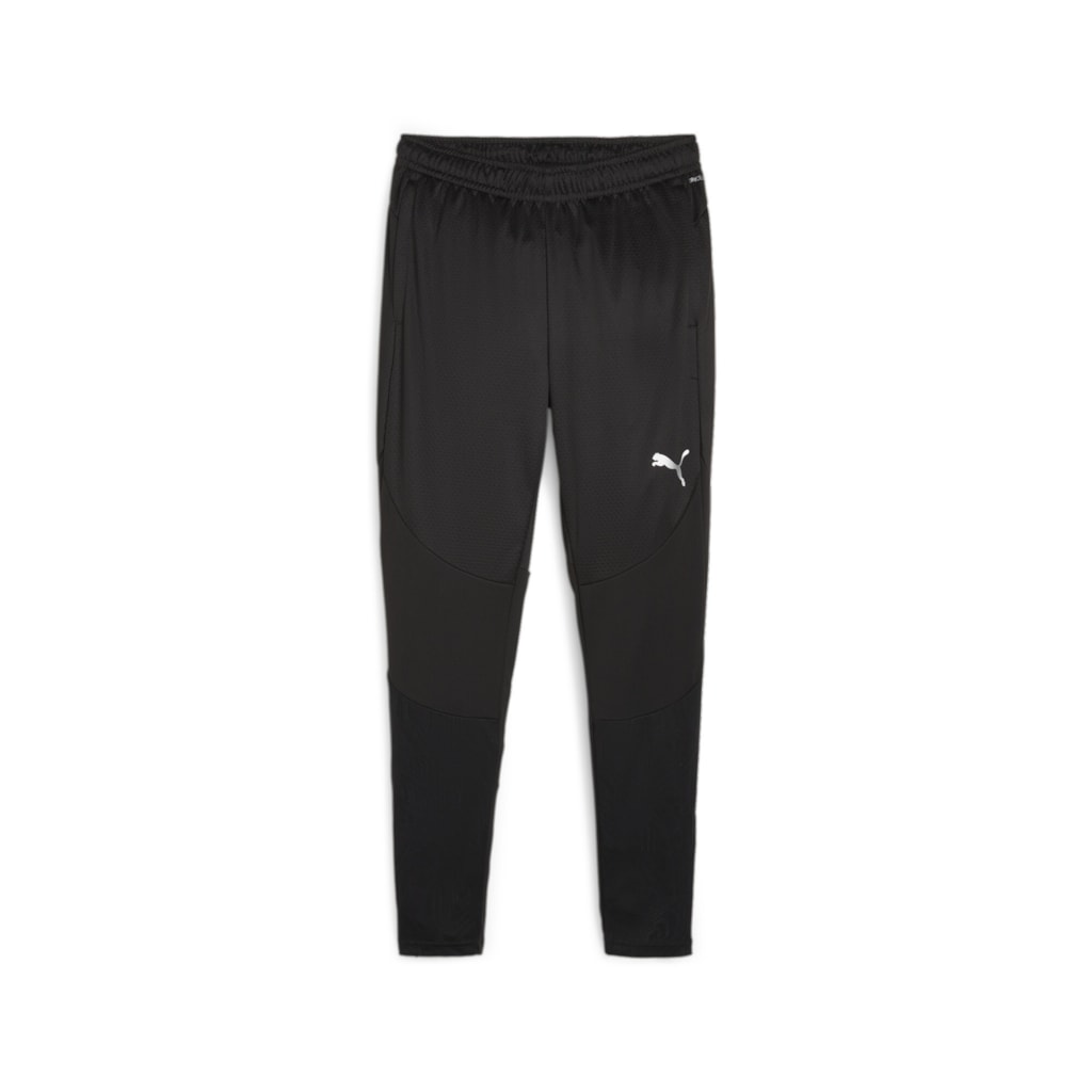 Puma Team Final Training Pants