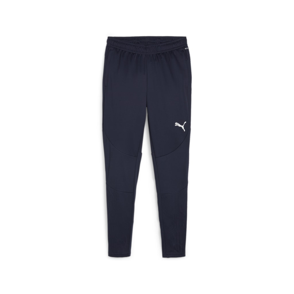 Puma Team Final Training Pants