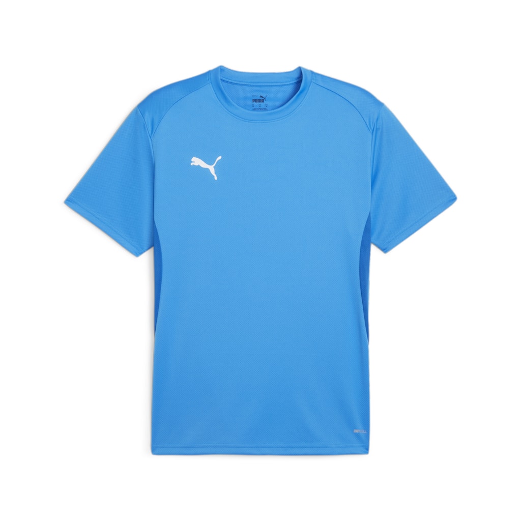 Puma TeamGOAL Jersey