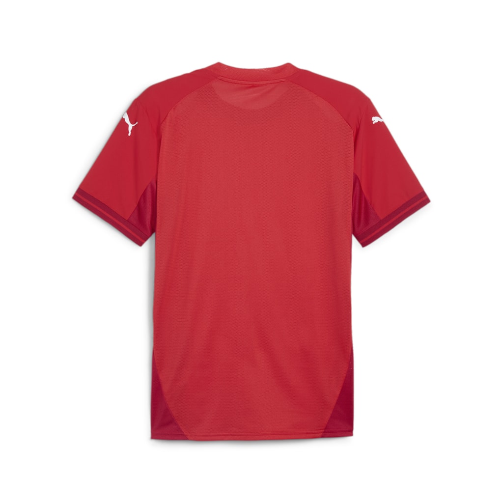 Puma Team Final Short Sleeve Shirt