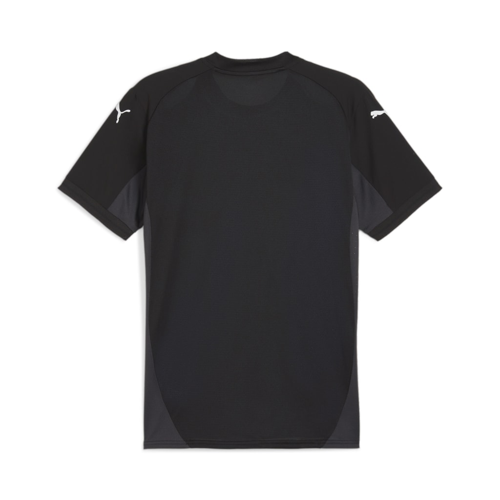 Puma Team Final Short Sleeve Shirt