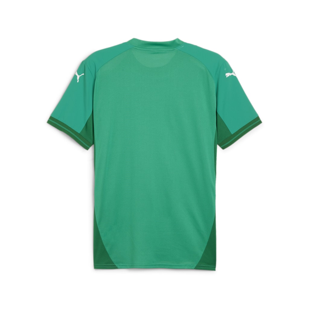 Puma Team Final Short Sleeve Shirt