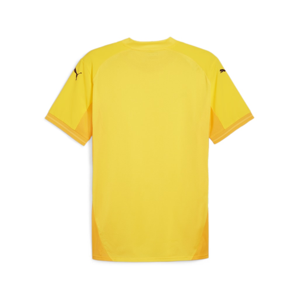 Puma Team Final Short Sleeve Shirt