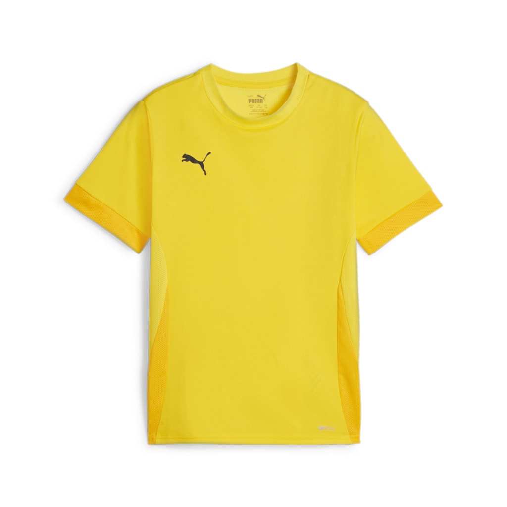 Puma TeamGOAL Matchday Short Sleeve Shirt