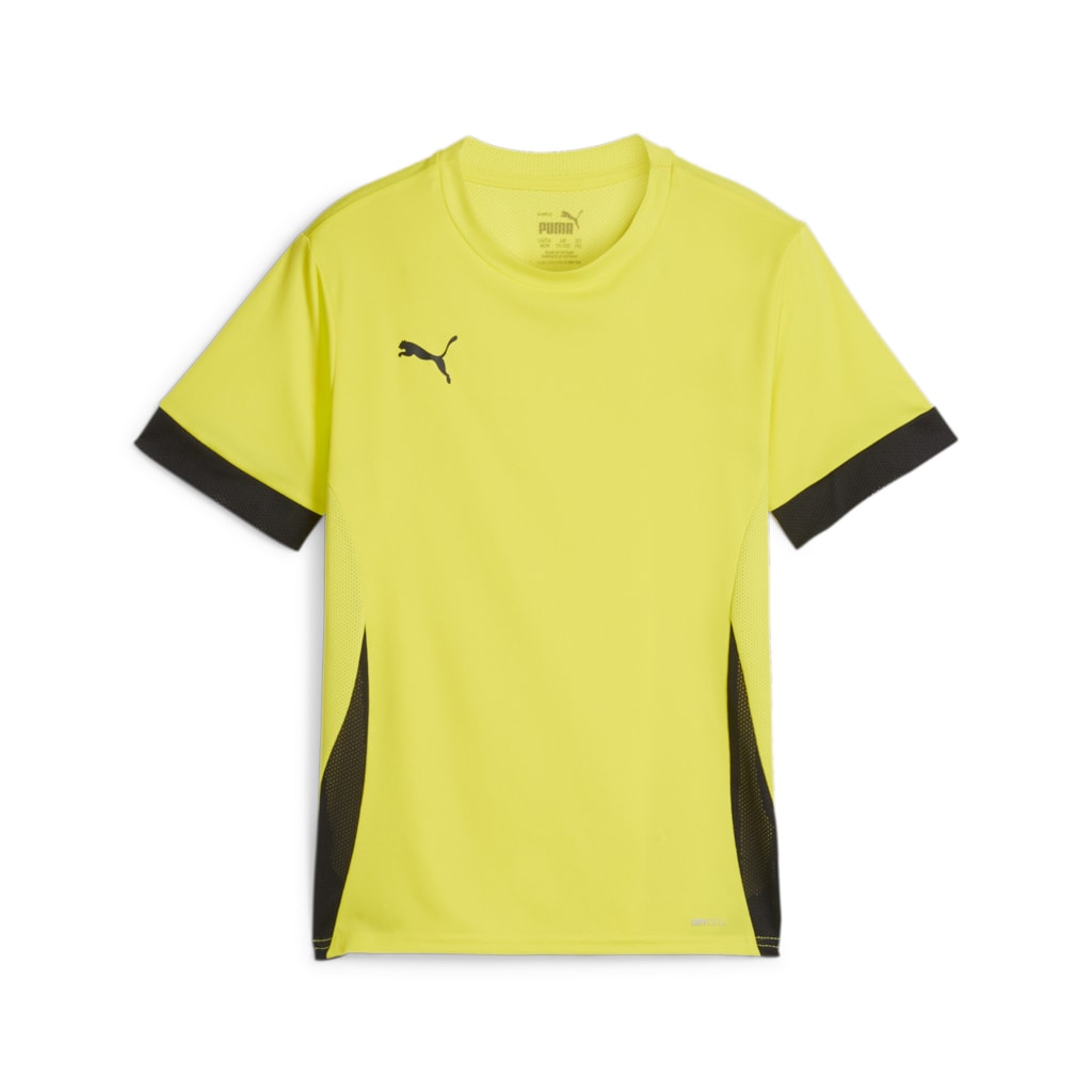 Puma TeamGOAL Matchday Short Sleeve Shirt