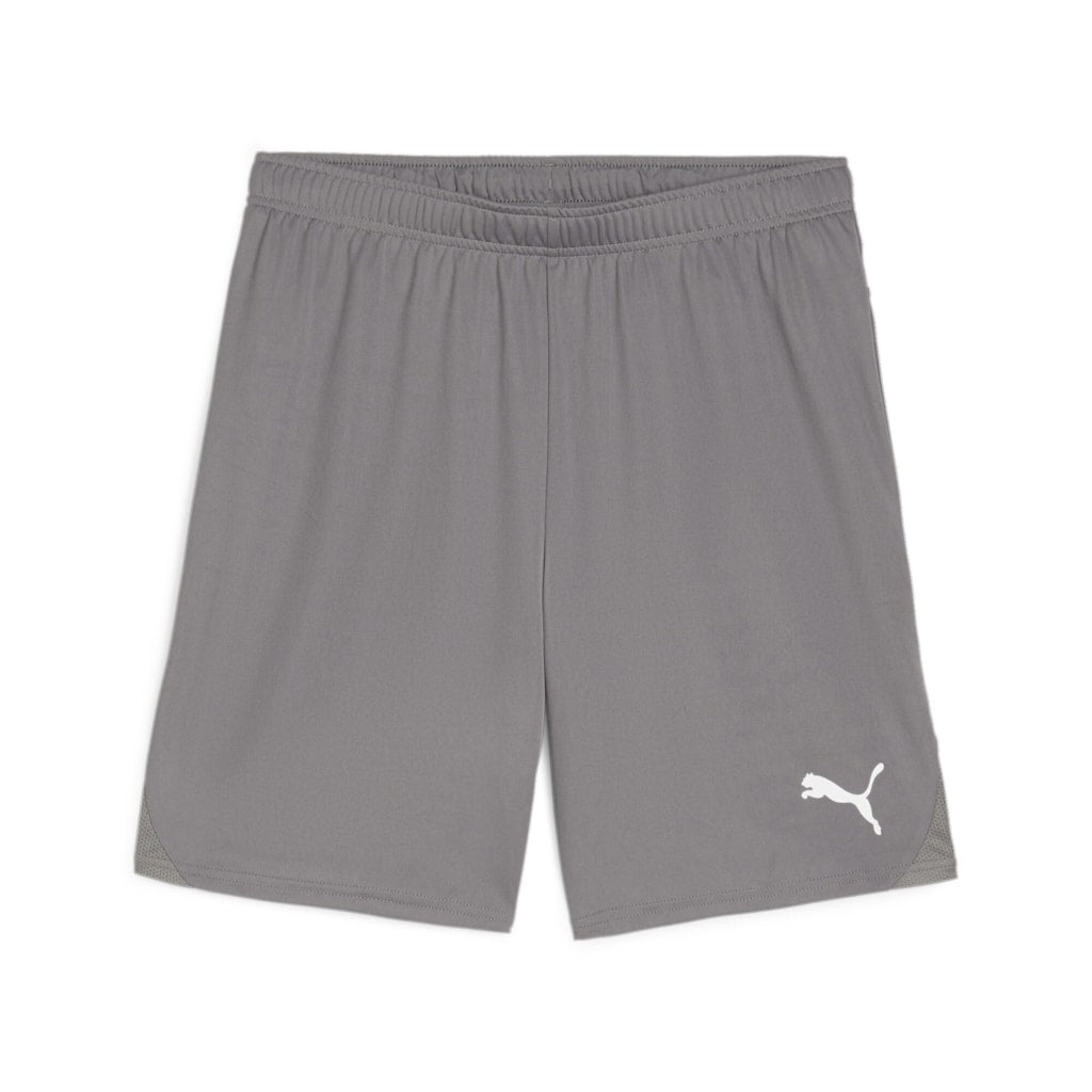 Puma teamGOAL Shorts