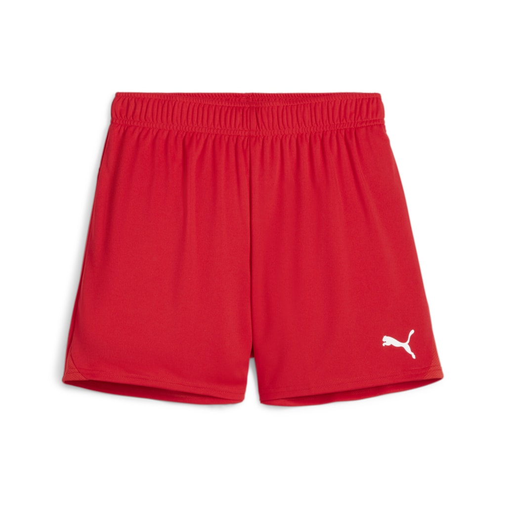 Puma teamGOAL Shorts Women's
