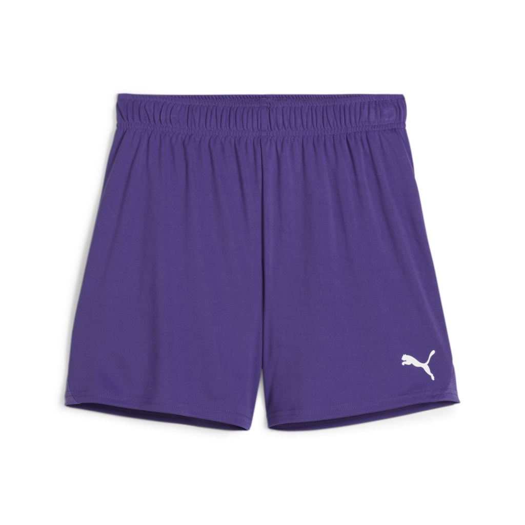 Puma teamGOAL Shorts Women's