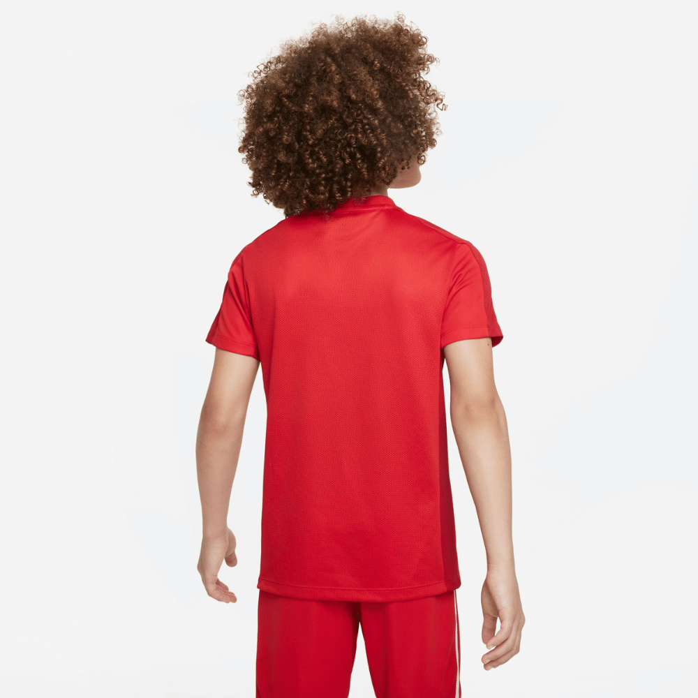 Nike Dri-FIT Academy 23 Short Sleeve Shirt