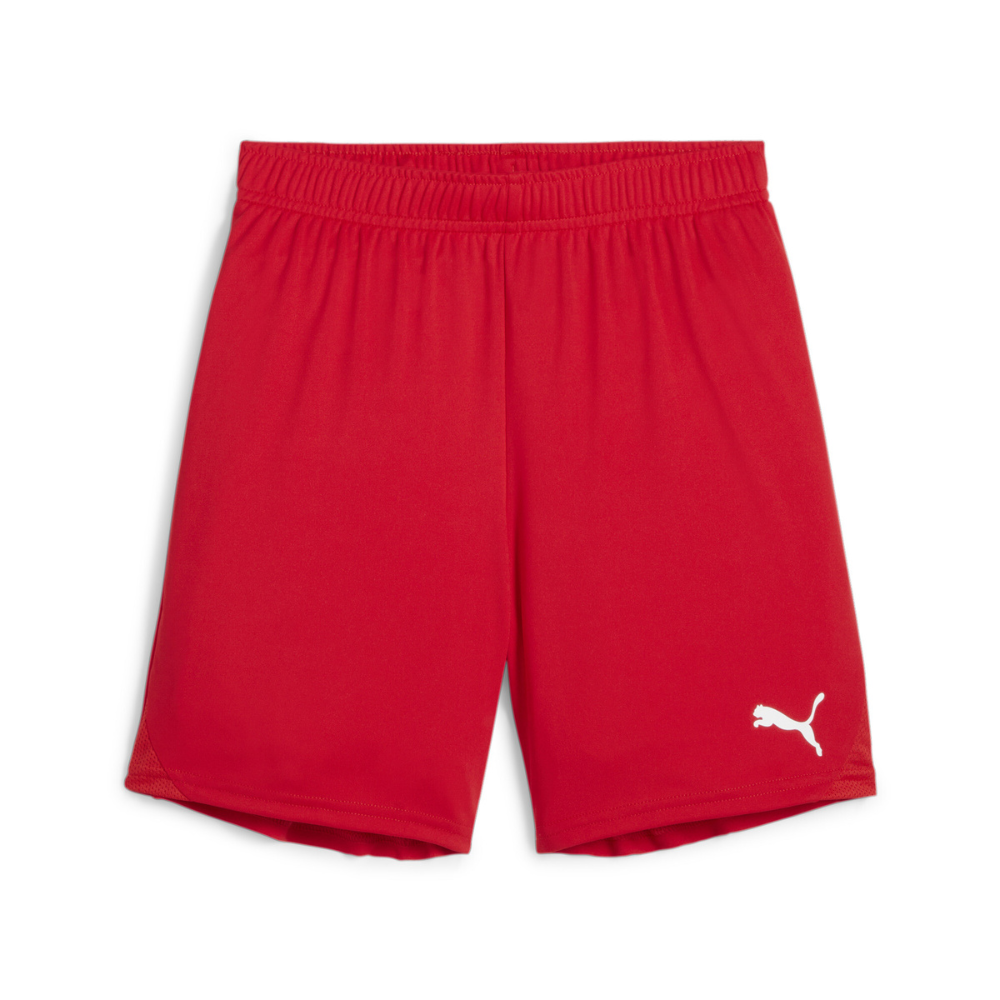 Puma teamGOAL Shorts