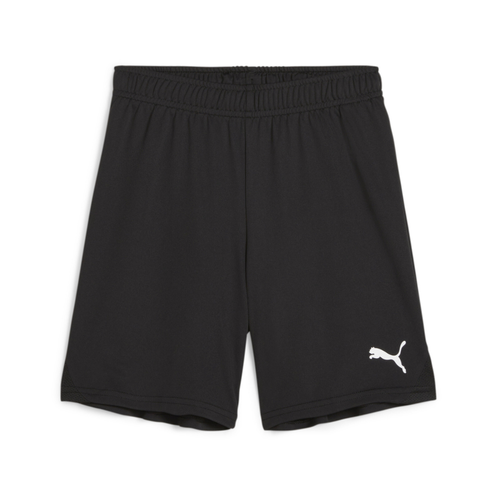 Puma teamGOAL Shorts