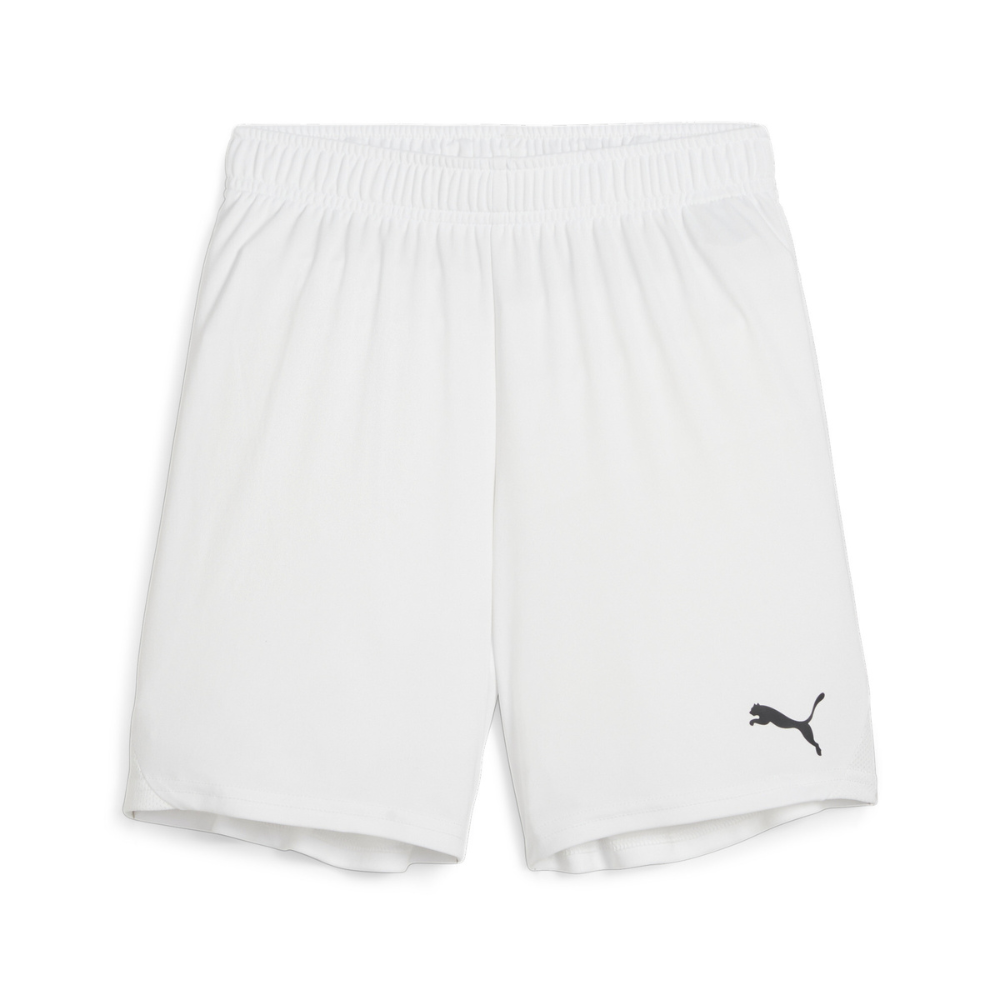 Puma teamGOAL Shorts