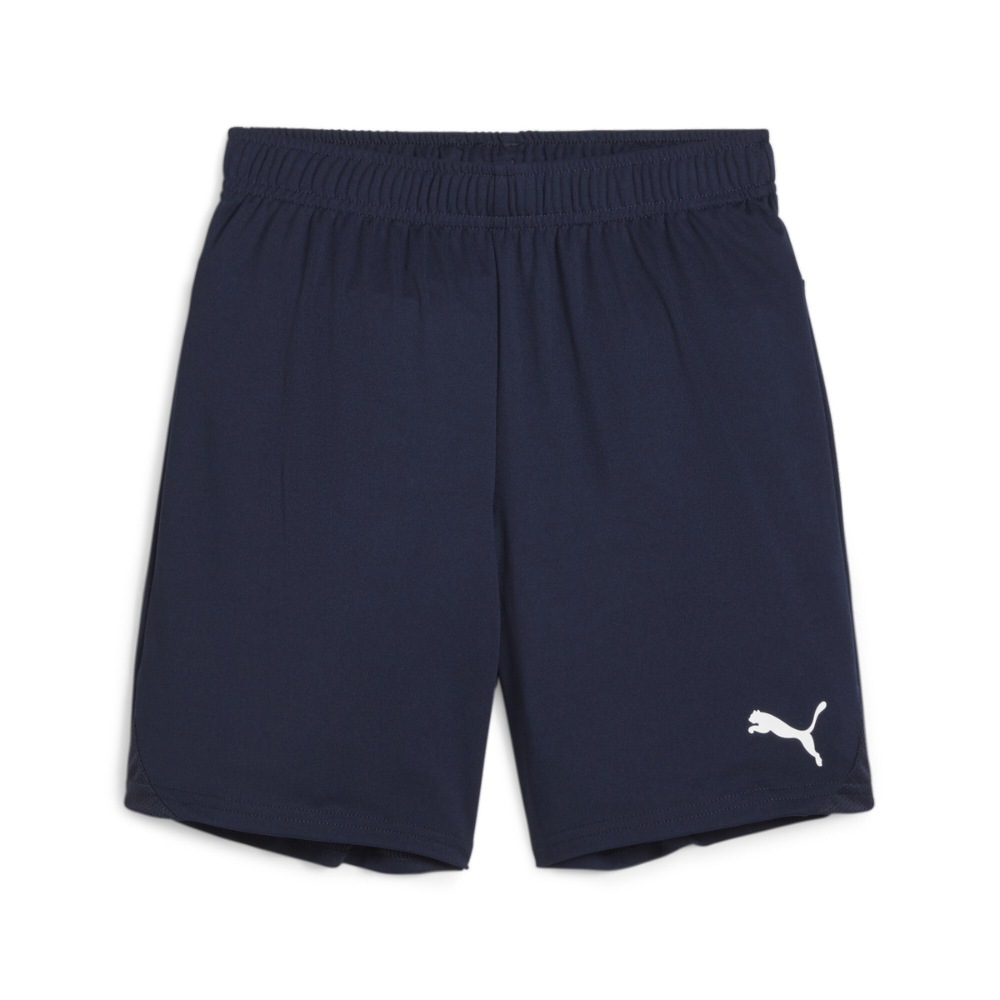 Puma teamGOAL Shorts