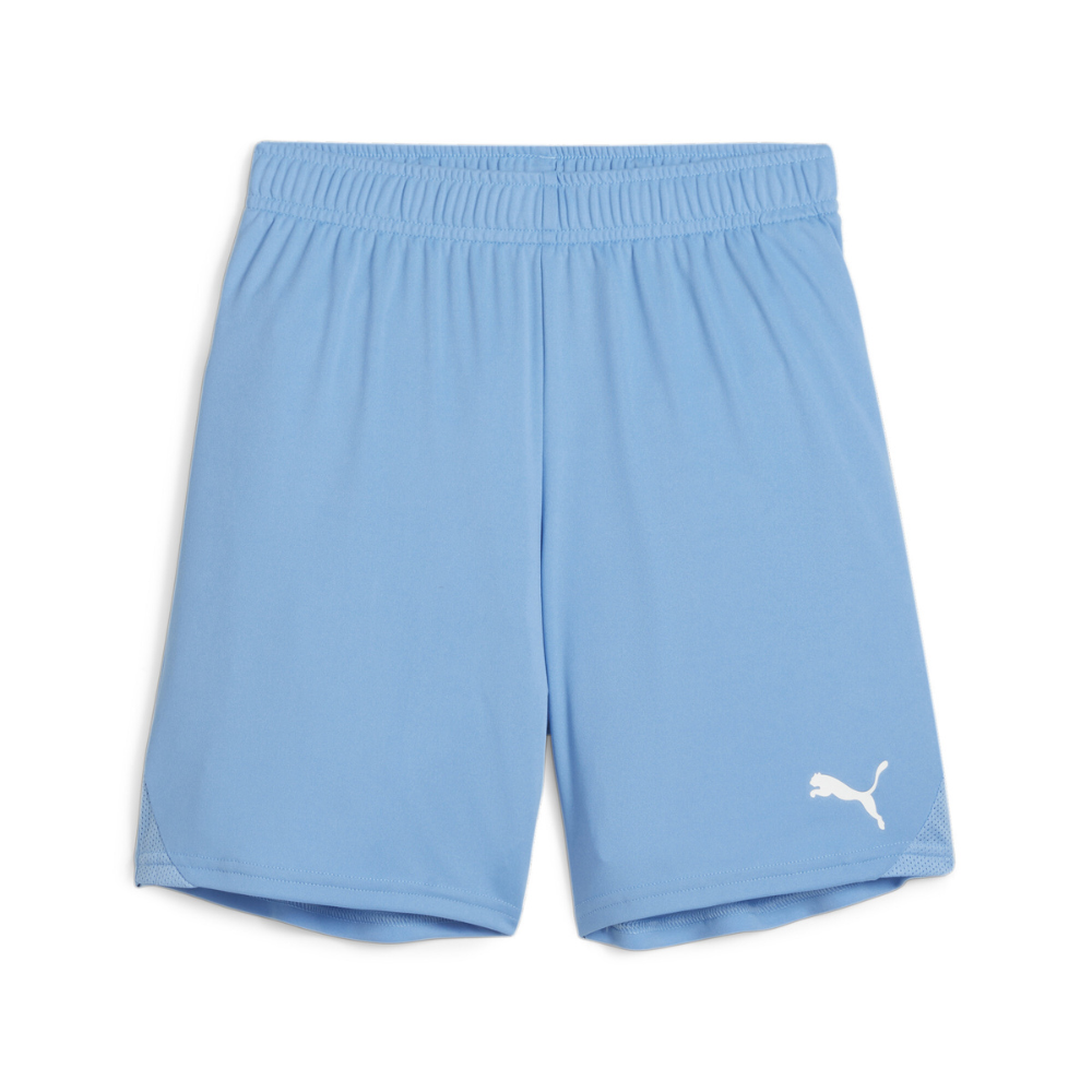 Puma teamGOAL Shorts