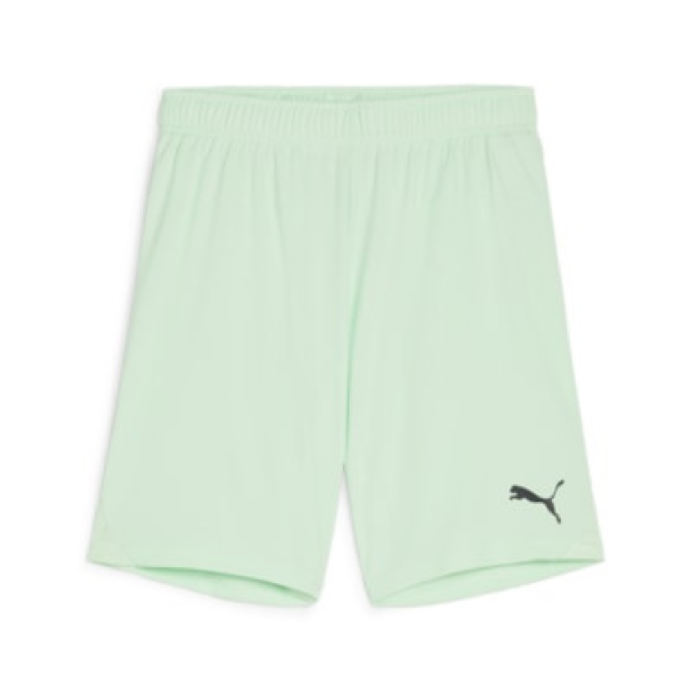 Puma teamGOAL Shorts